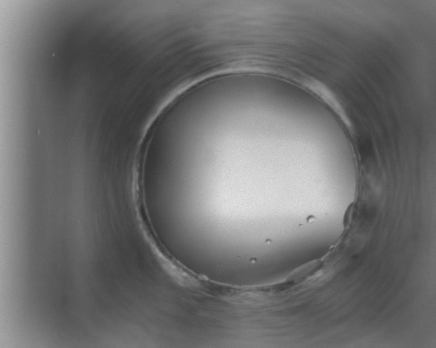 X0000069801101200605261716