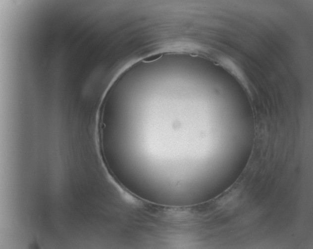 X0000069801103200605261716