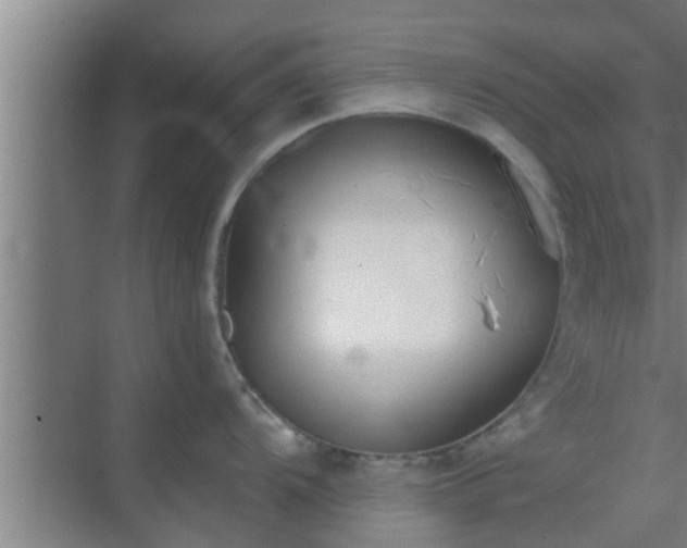 X0000069801104200605261716