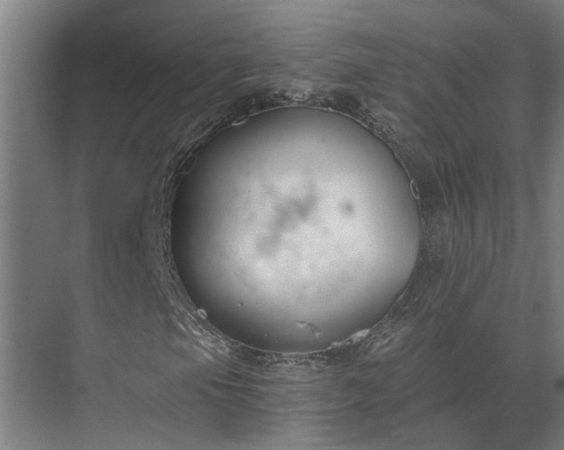 X0000069801105200605261715