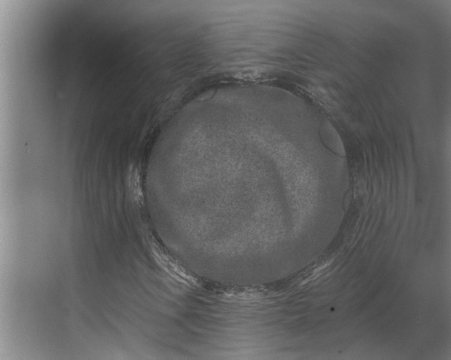 X0000069801106200605261715