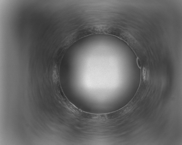 X0000069801107200605261715