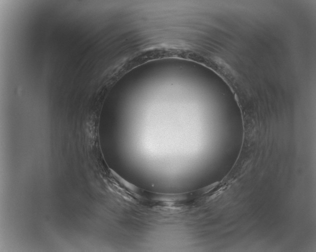 X0000069801110200605261715