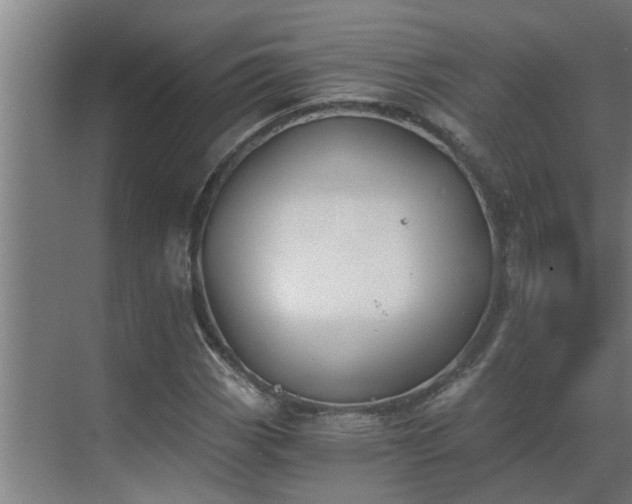 X0000069801113200605261715