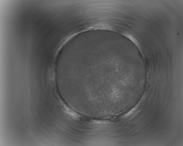 X0000069801115200605261715