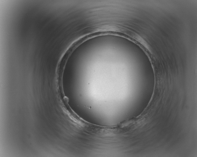 X0000069801116200605261715