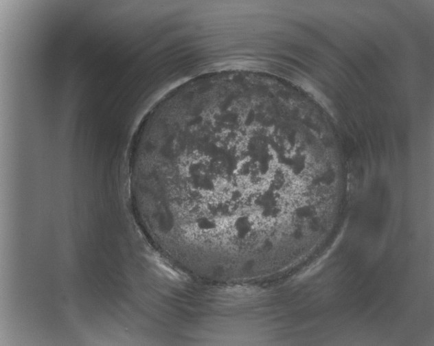 X0000069801117200605261715