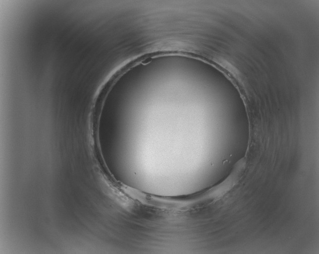 X0000069801120200605261715