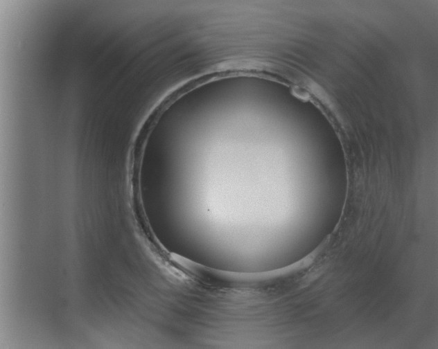 X0000069801124200605261715