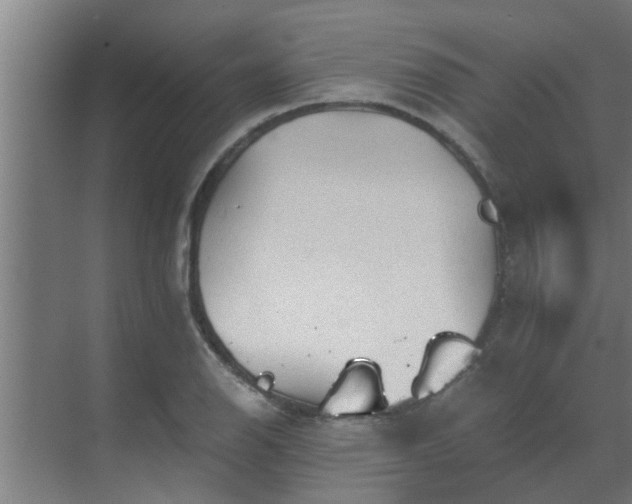 X0000069801126200605261716