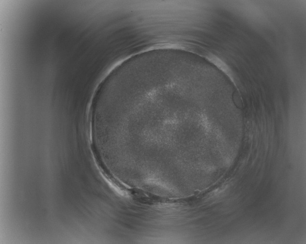 X0000069801127200605261716