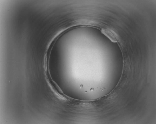 X0000069801128200605261716