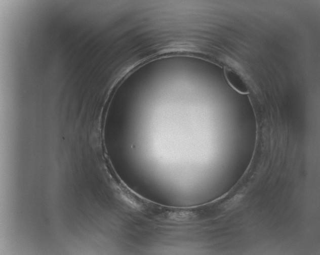 X0000069801129200605261716