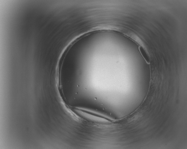 X0000069801132200605261716