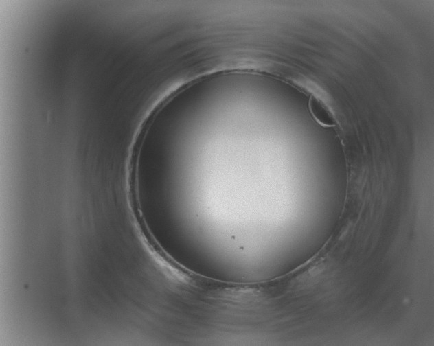 X0000069801135200605261716