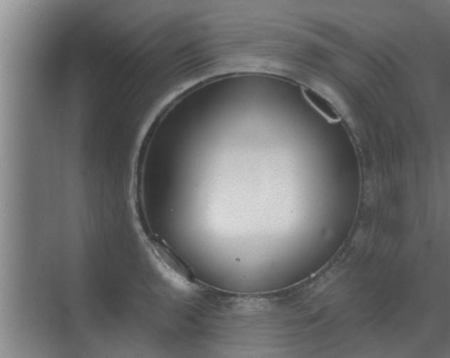 X0000069801136200605261716