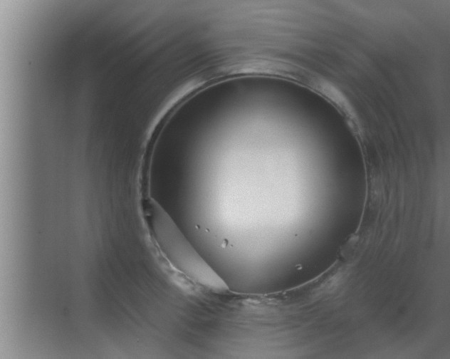 X0000069801138200605261716