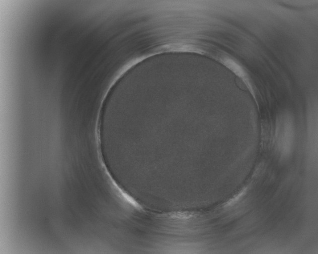 X0000069801141200605261716