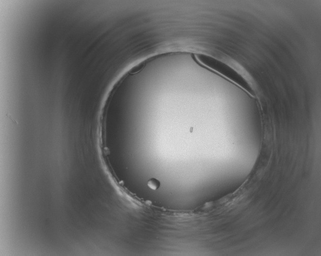 X0000069801144200605261716