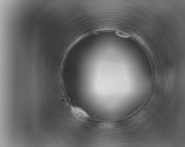 X0000069801145200605261716