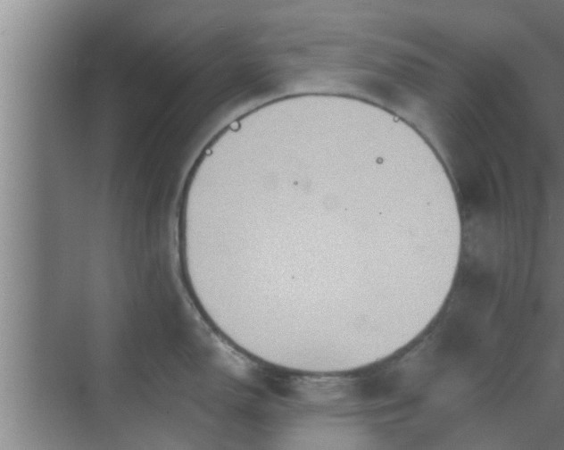 X0000069801150200605261716