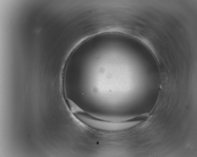 X0000069801151200605261716