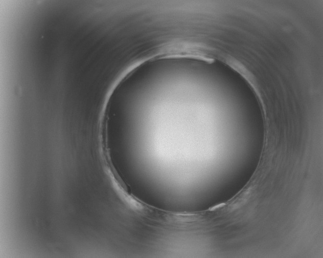 X0000069801152200605261716