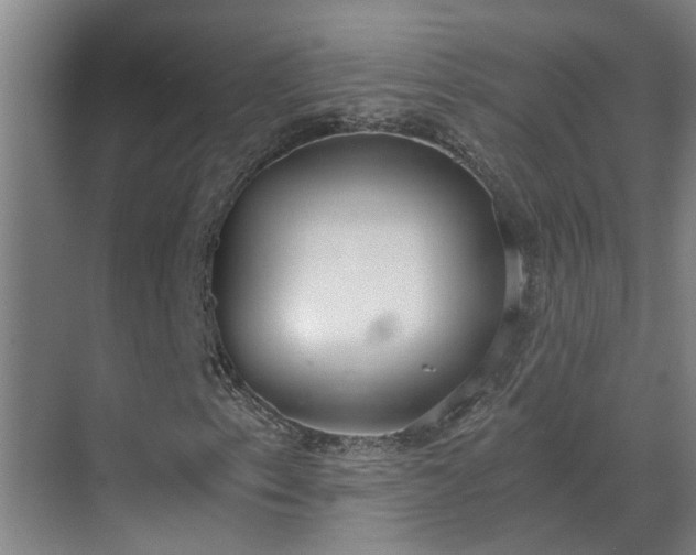 X0000069801153200605261715