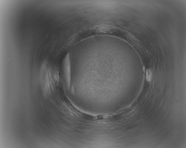 X0000069801155200605261715