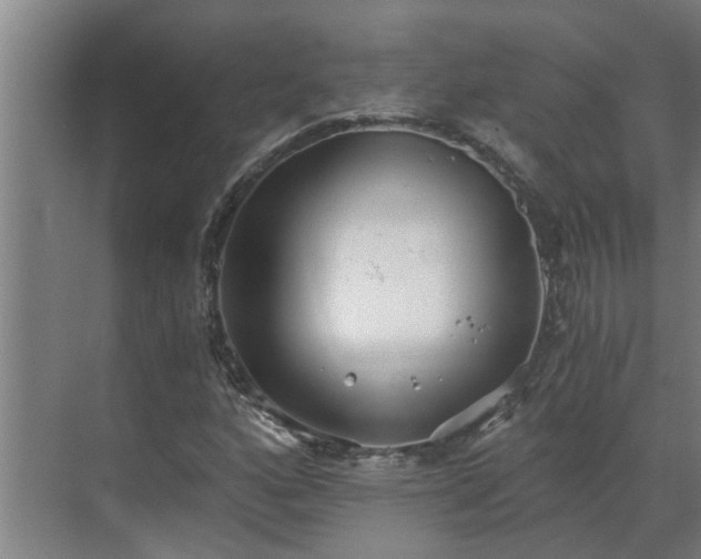 X0000069801160200605261715