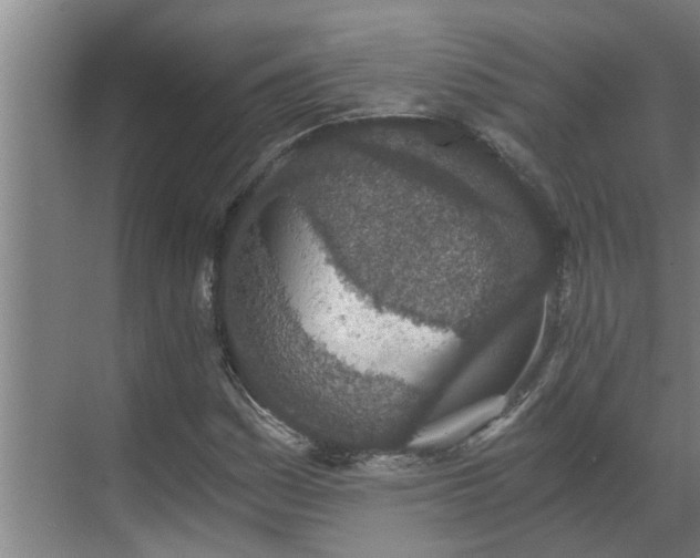 X0000069801161200605261715