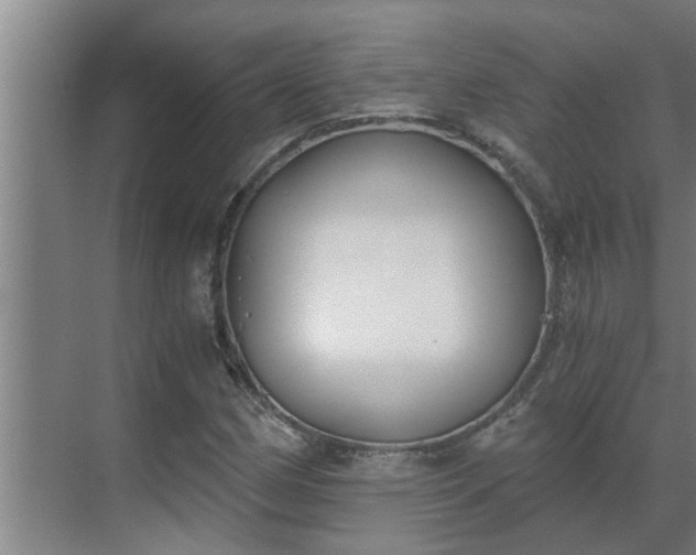 X0000069801162200605261715