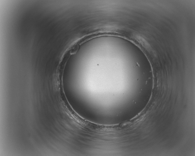 X0000069801164200605261715