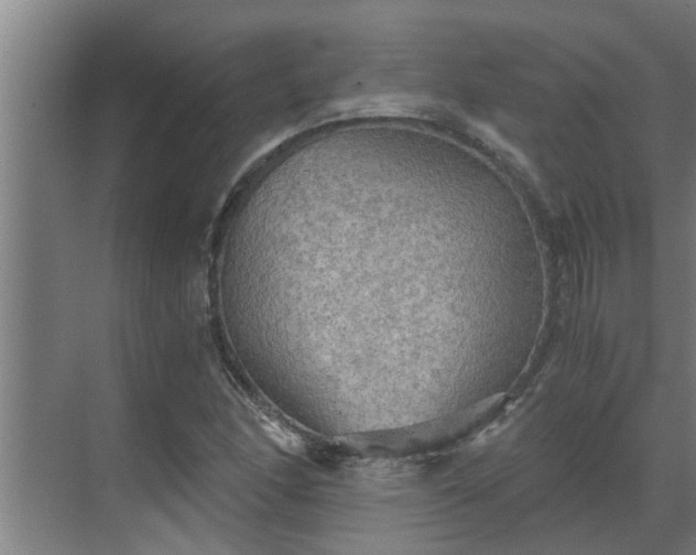 X0000069801166200605261715