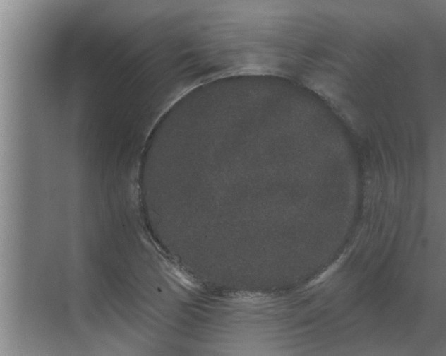 X0000069801170200605261715