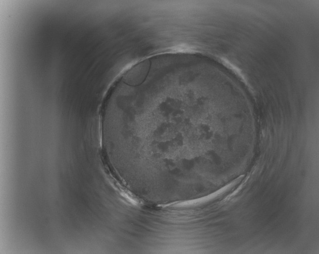 X0000069801171200605261715