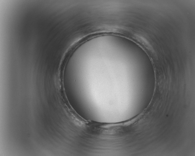 X0000069801172200605261715