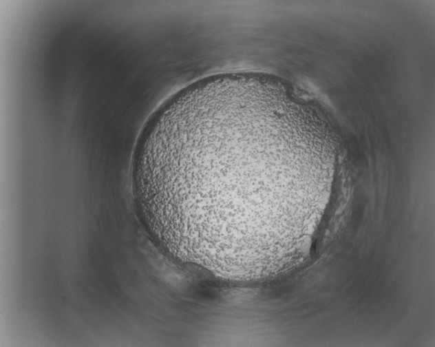 X0000069801173200605261715