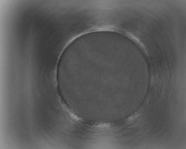 X0000069801174200605261715