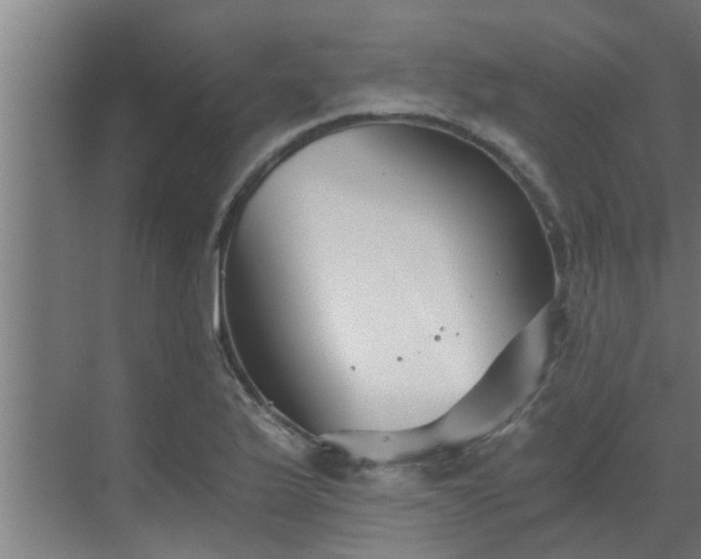 X0000069801175200605261715