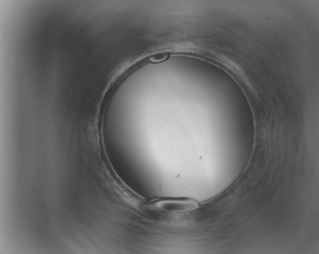 X0000069801176200605261715