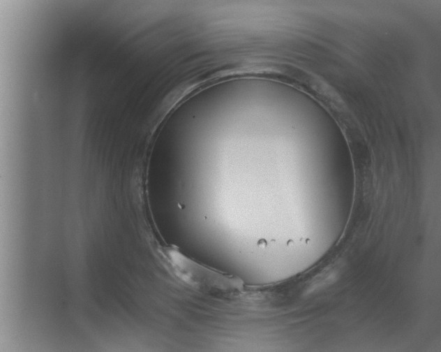 X0000069801177200605261715