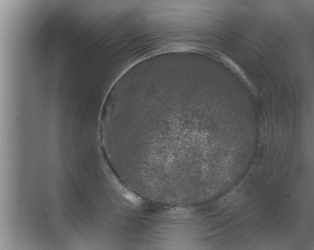 X0000069801178200605261715