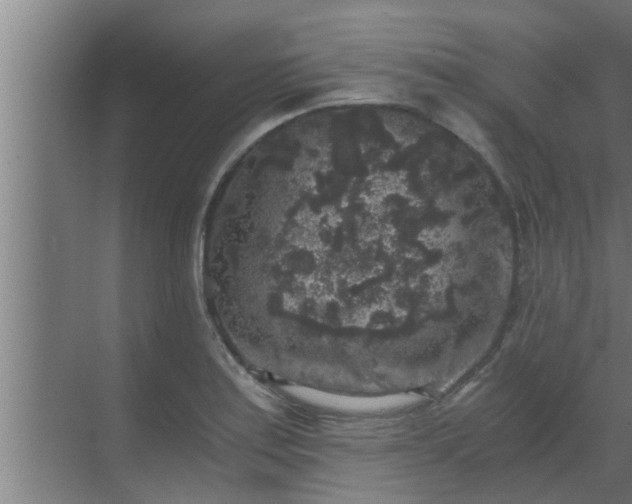 X0000069801179200605261715