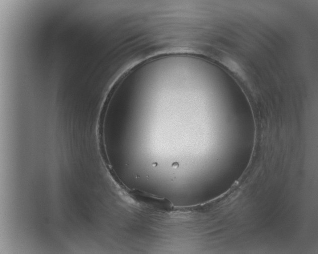 X0000069801181200605261715