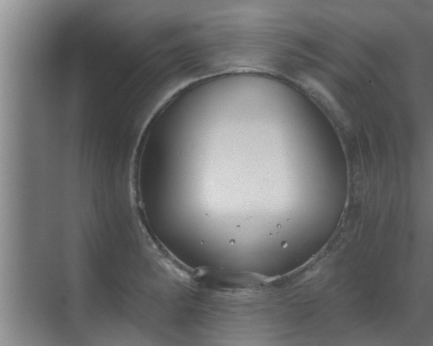 X0000069801182200605261715