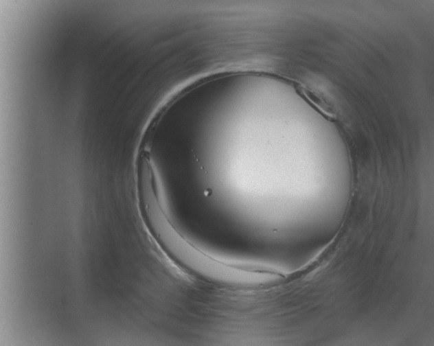 X0000069801184200605261715