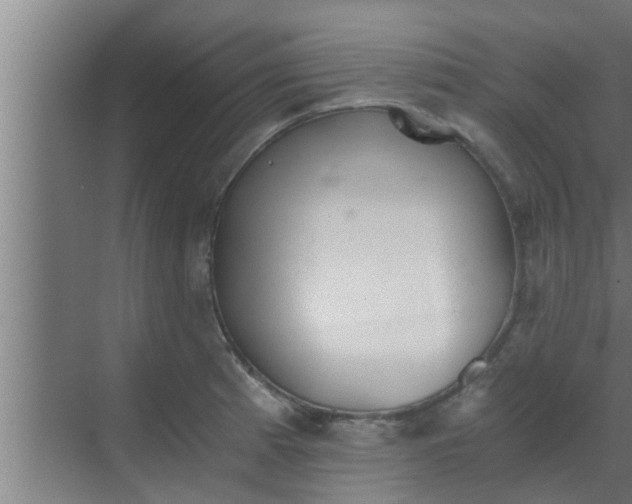 X0000069801185200605261715