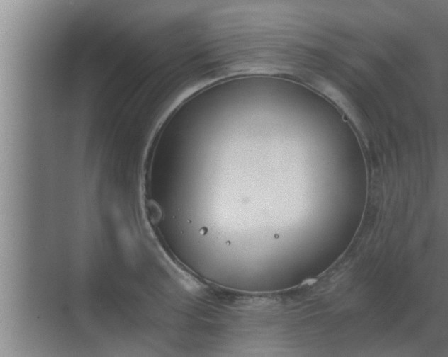 X0000069801187200605261715