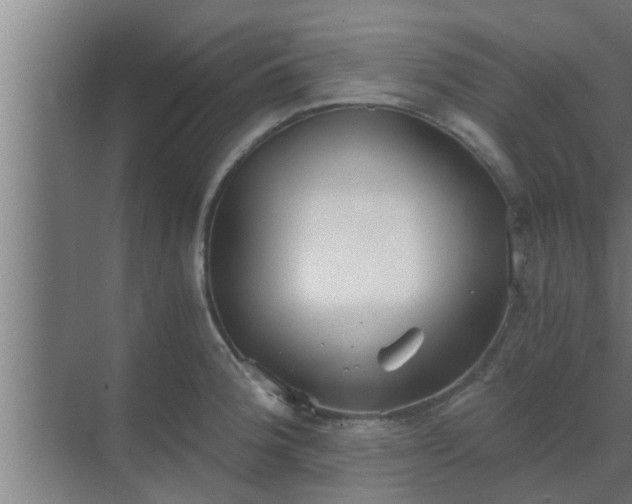 X0000069801188200605261715